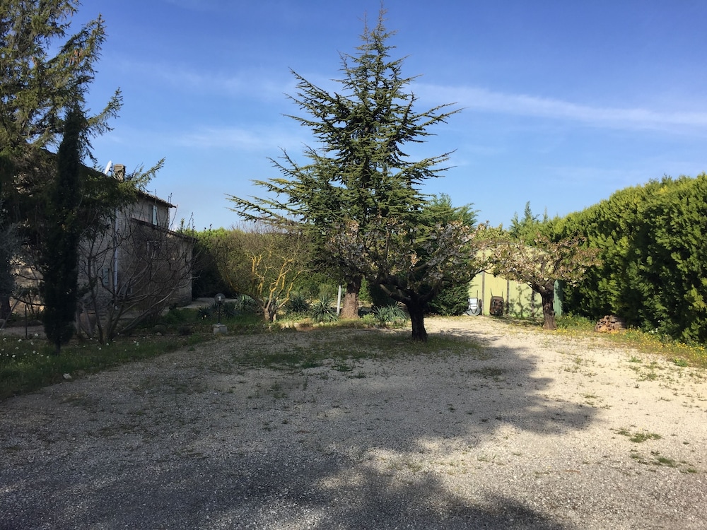 Zocalo Ranch