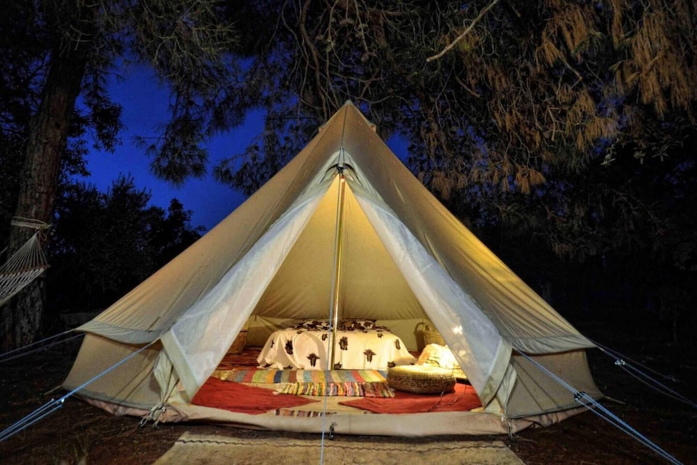 Cocoon Tent in an Olive Grove photo 4