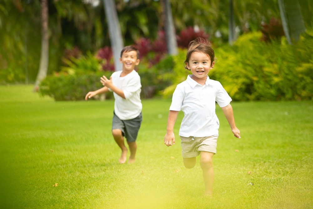 Fairmont Orchid - Property Image 161