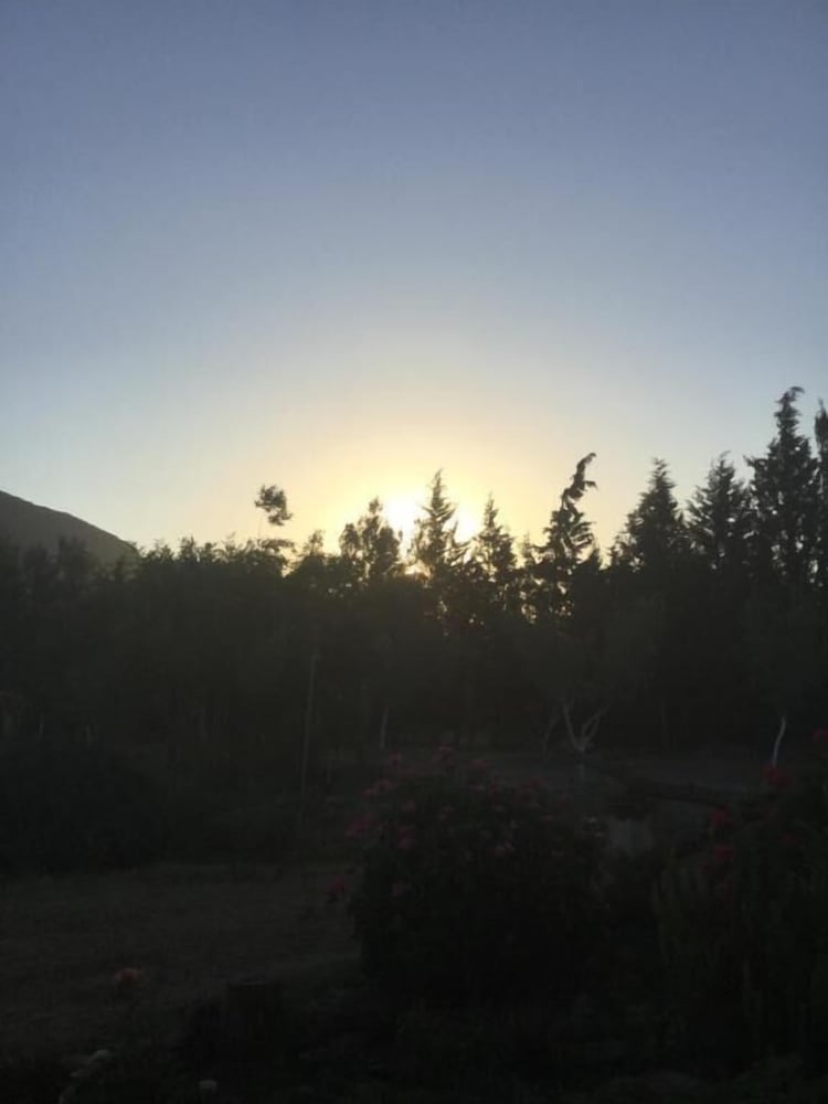 Photo 29