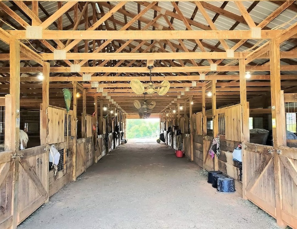 Briggs Brothers Ranch & Resort view 3