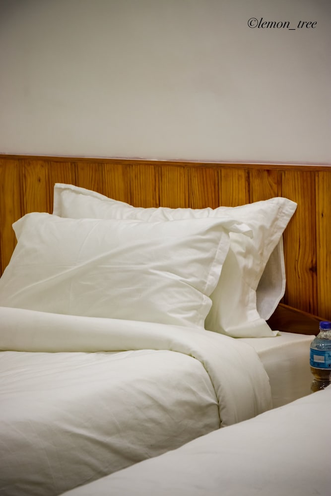 Lemon Tree Apartment and Homestay