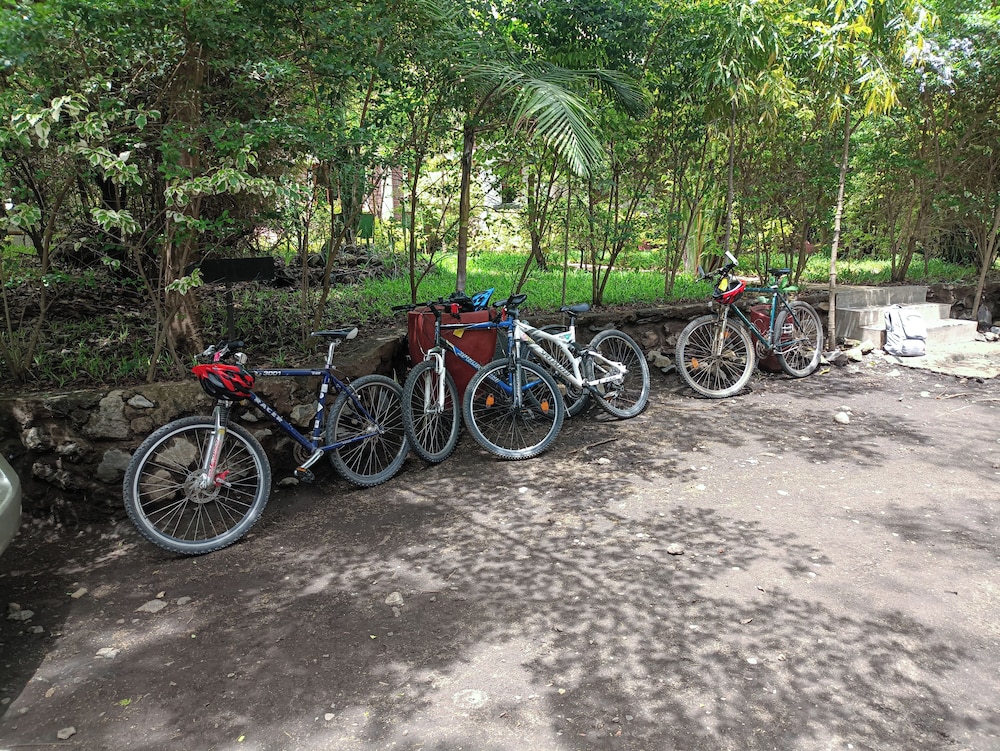 Shamba Hostel