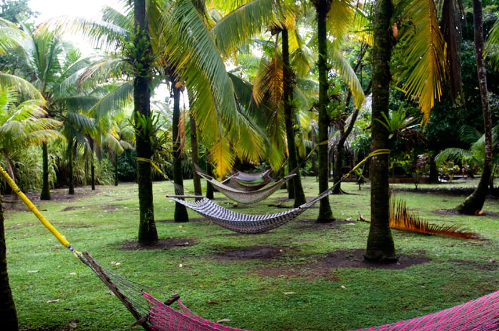 Turtle Beach Lodge