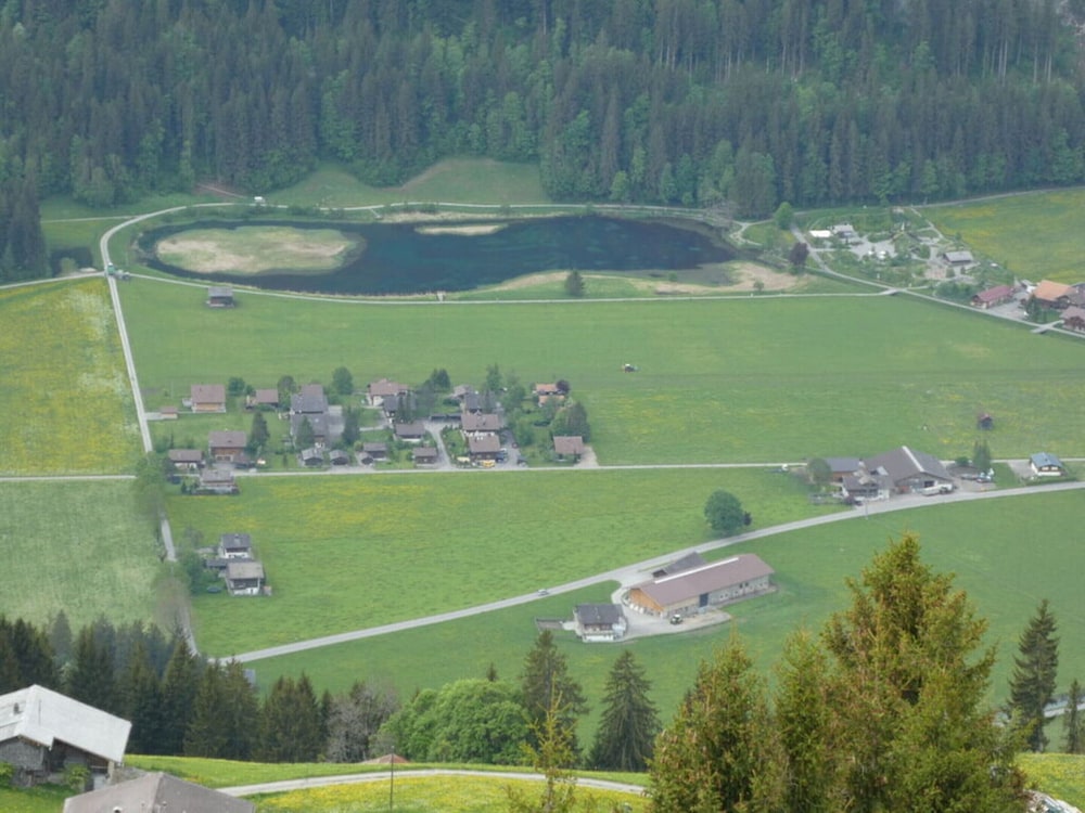 Charming Apartment in Lenk