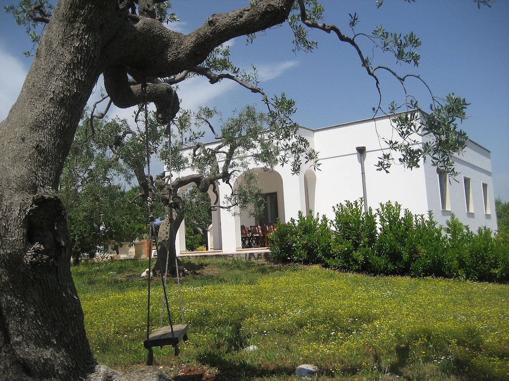 Photo 43
