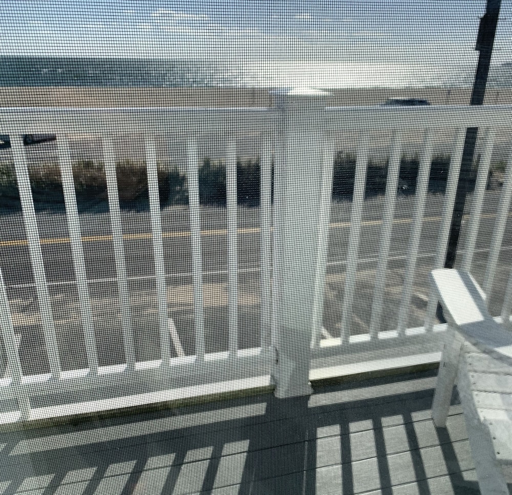 The Ocean View