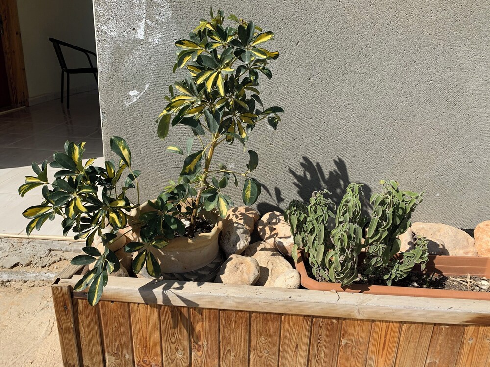 Photo 47