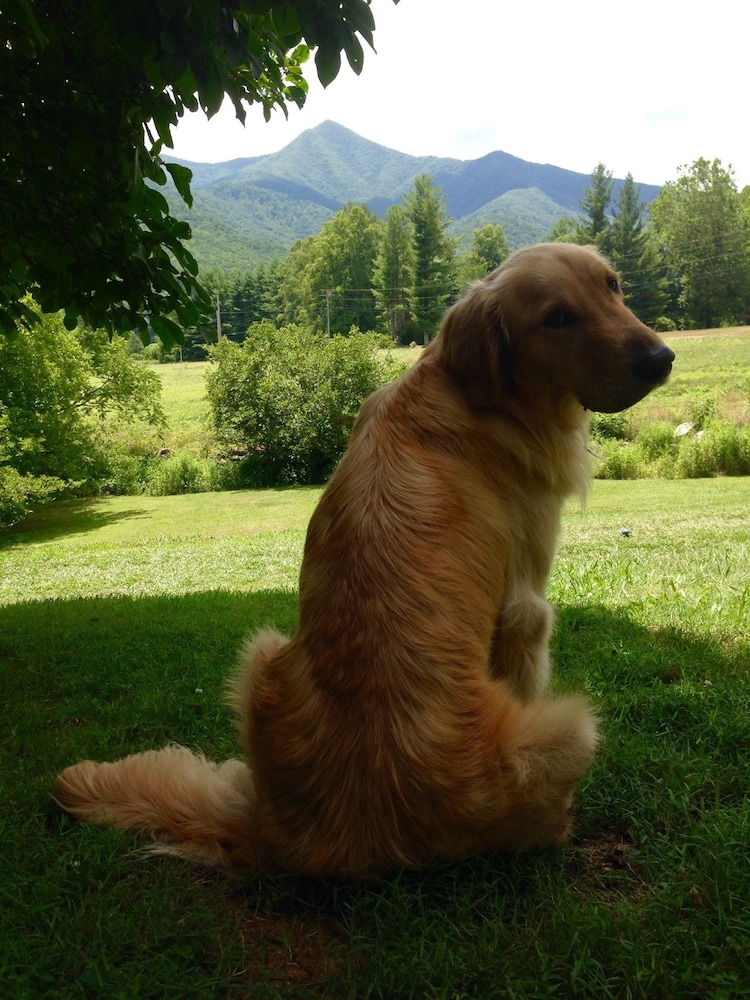Pisgah View Ranch