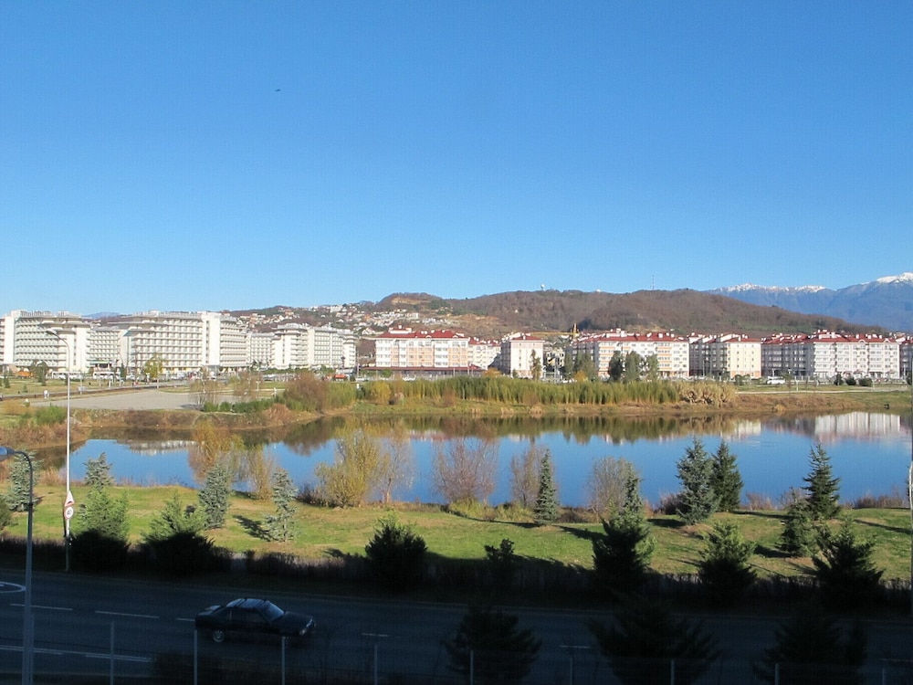 Photo 41
