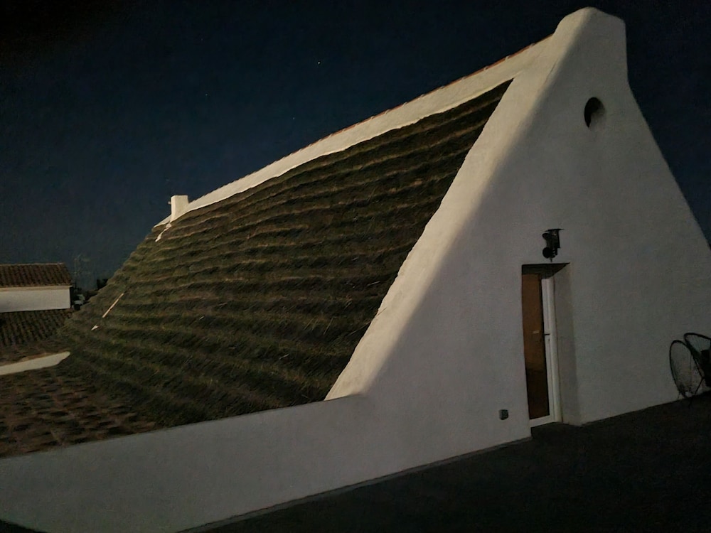 Photo 56