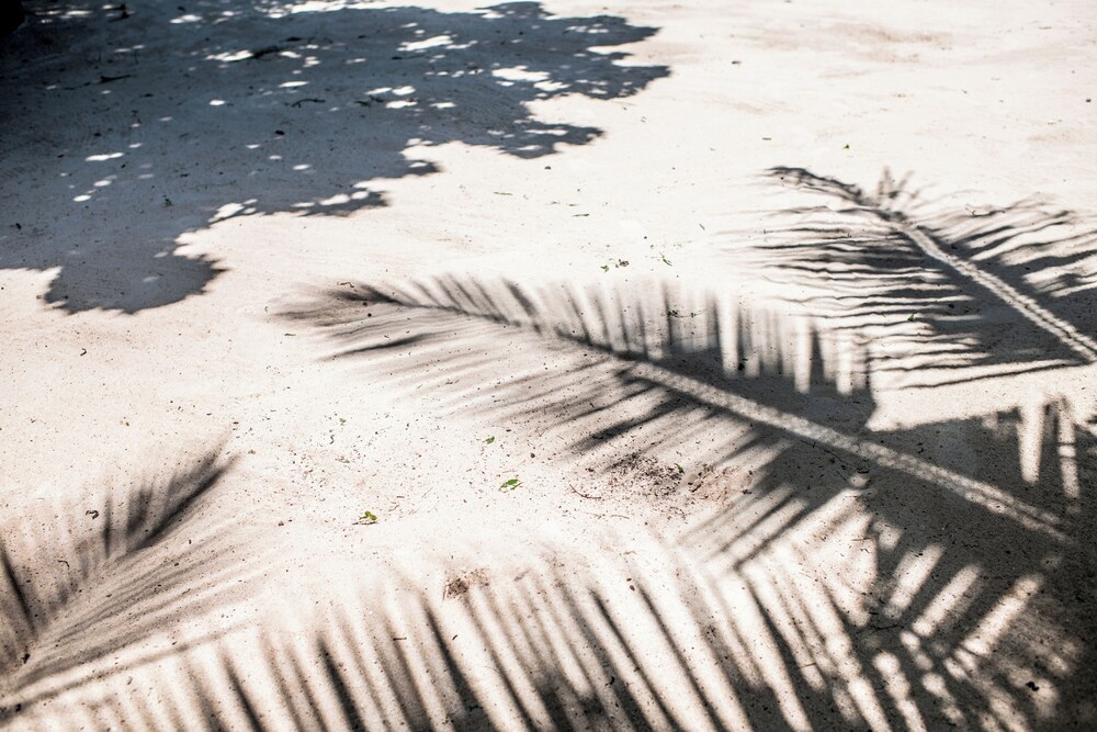 Baobab Bungalows