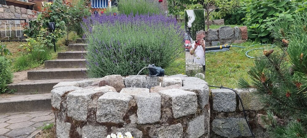 Photo 35