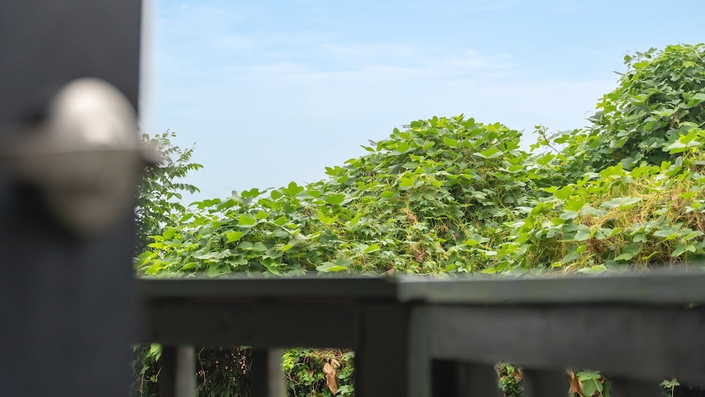 Ganghwado Maniggolstay Group Pension