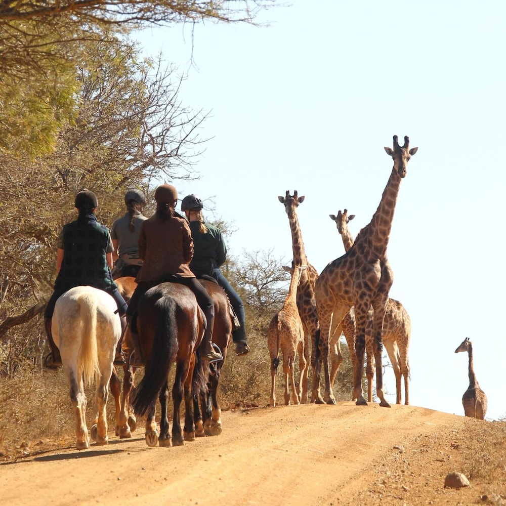 Pakamisa Private Game Reserve