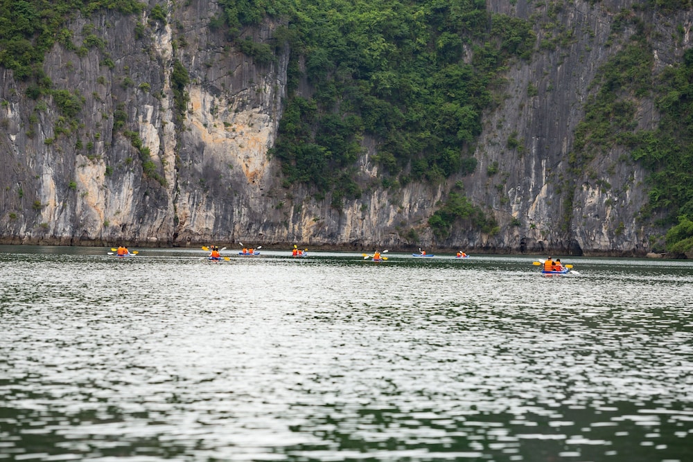 Verdure Lotus Luxury Cruise on Lan Ha Bay - Image 3