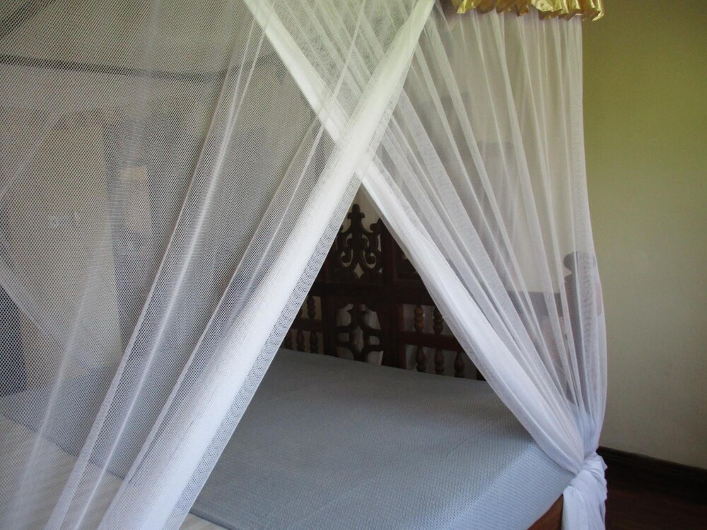 Abuso Inn