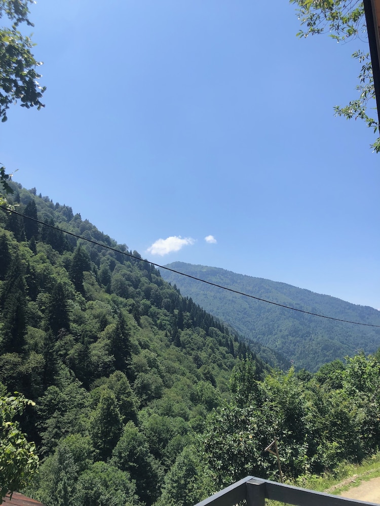 AYDER ÇALIKUŞU BUNGALOV view 2