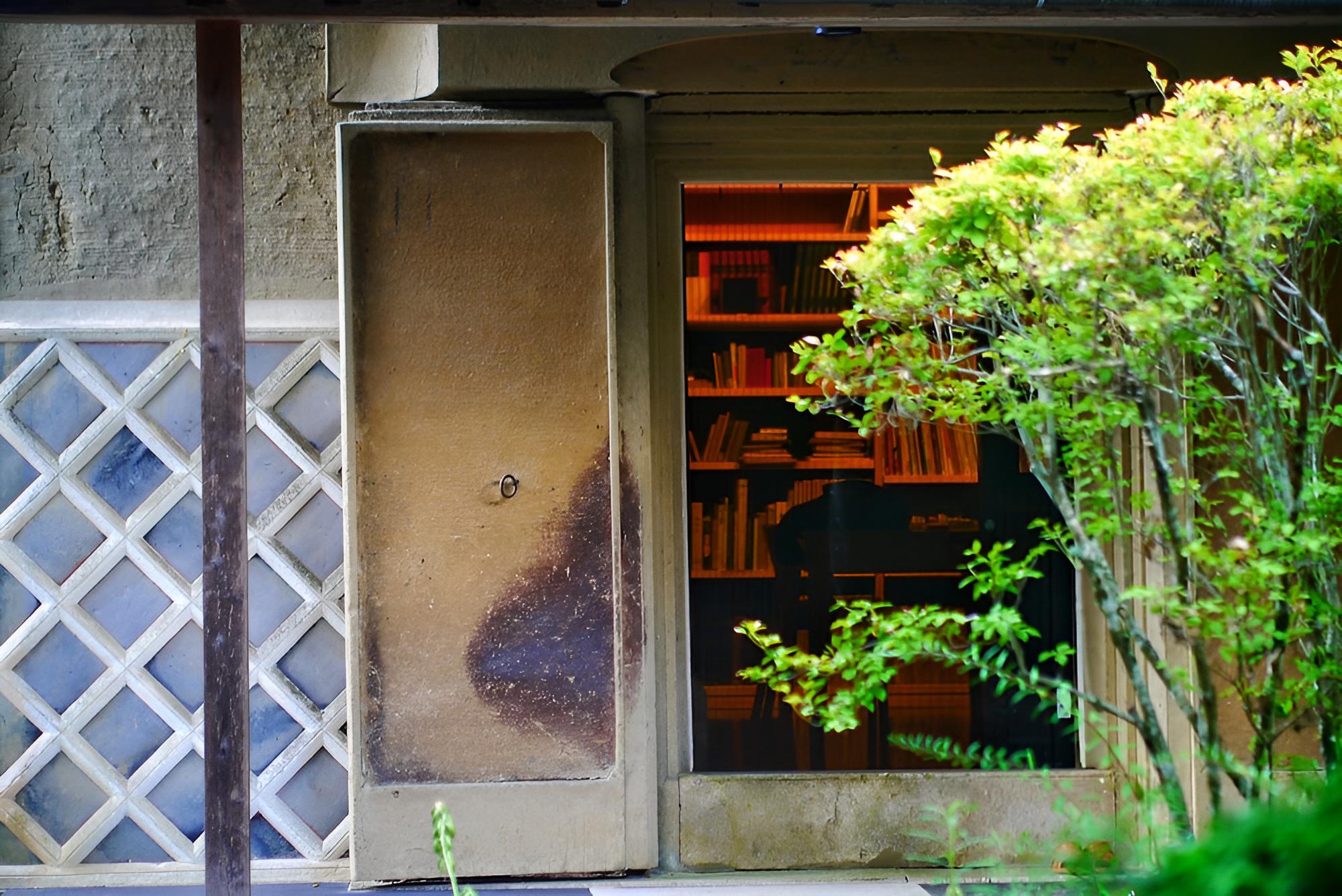 Photo 11