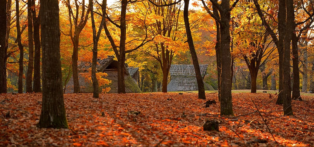 Hotel Shirakabako Sakaeen