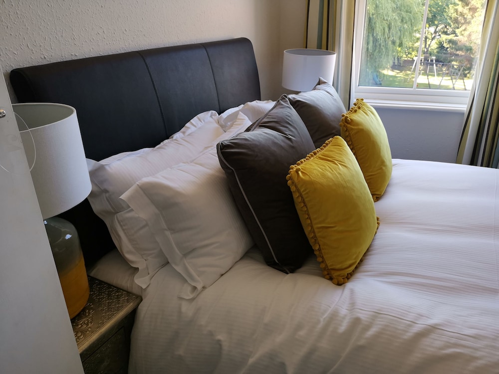 The Lazy Lion view 4