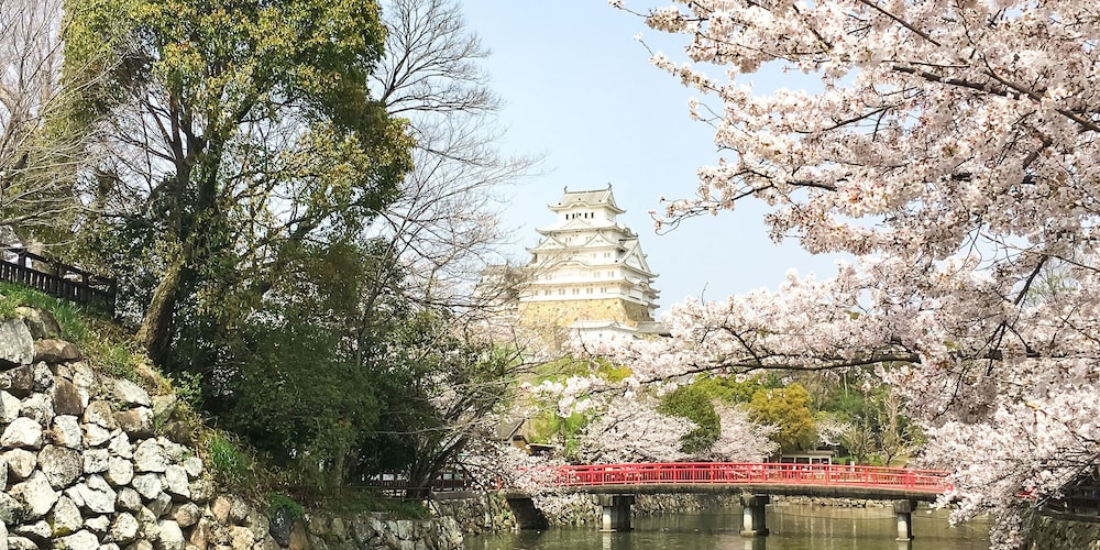 Shironoshita Guesthouse - Hostel