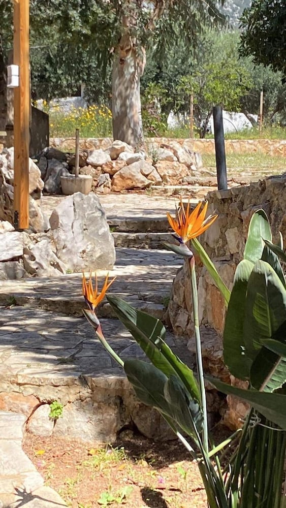 Garden Studio by the sea view 5
