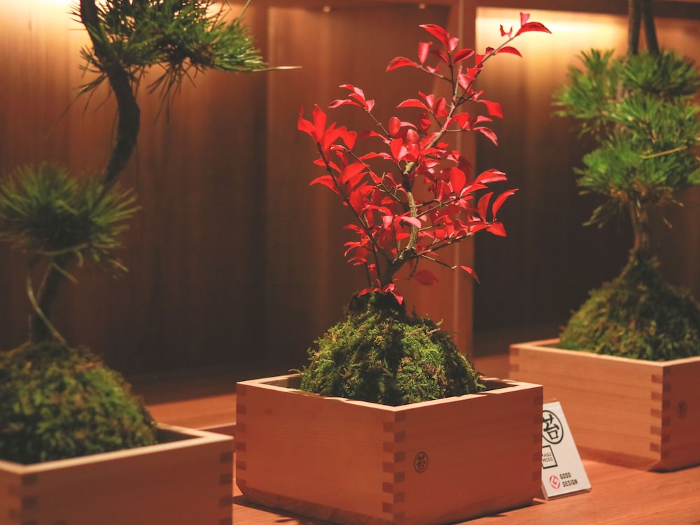 Awazu-Spa Tourist Hotel Kitahachi