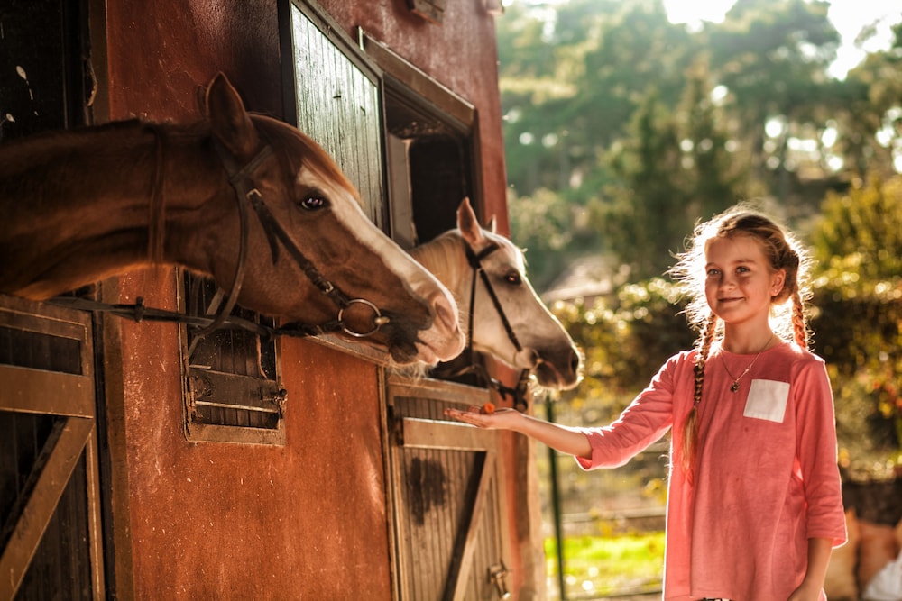 Berke Ranch & Nature - Özel Sınıf - Image 63