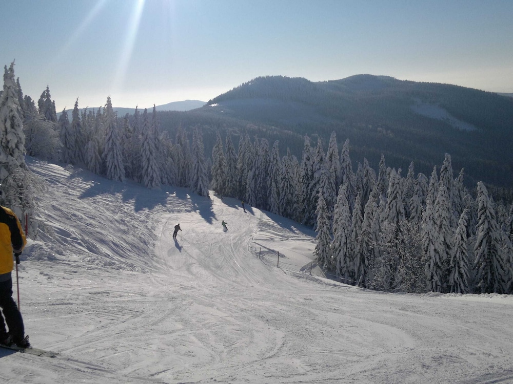 Attractive Apartment in Rokytnice nad Jizerou near Ski Area