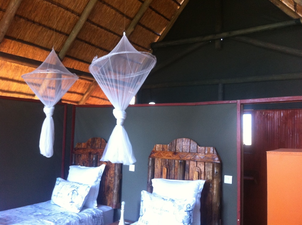 Lion Roars Lodge