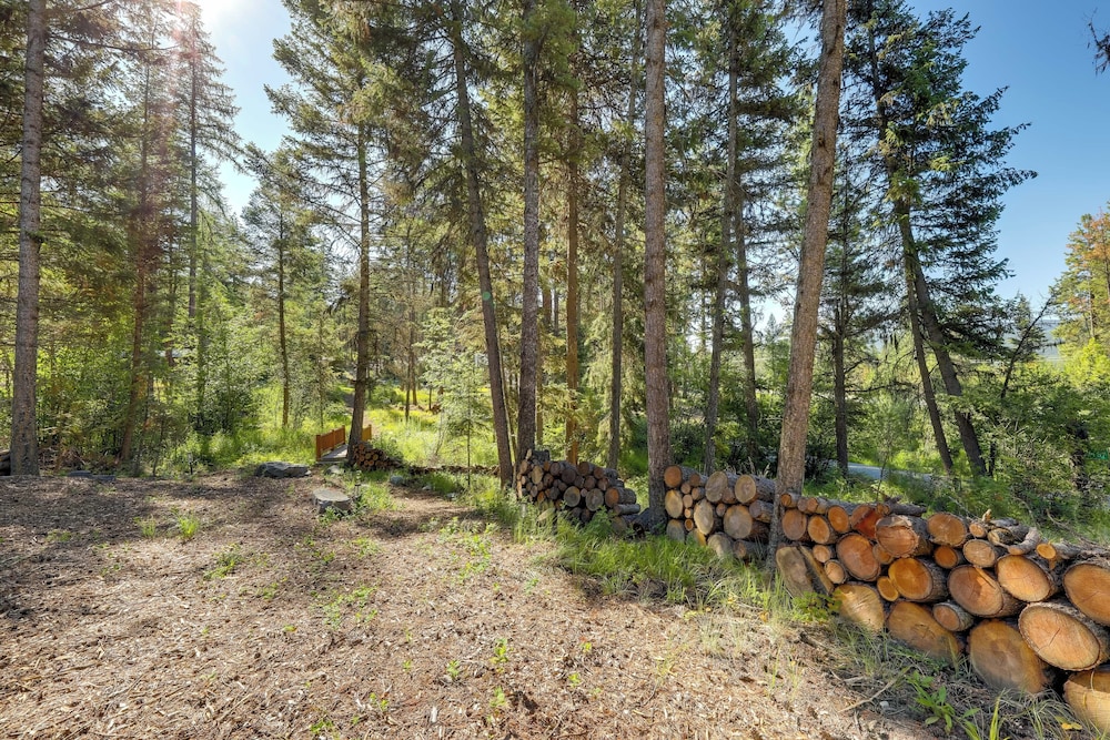 Mcgregor Lake Access: Cabin in Wooded Wilderness