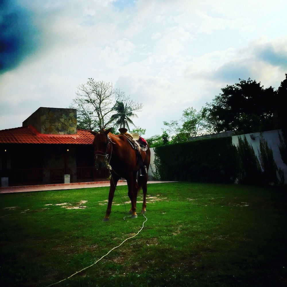 Estancia Ecologica LOS FUNDADORES
