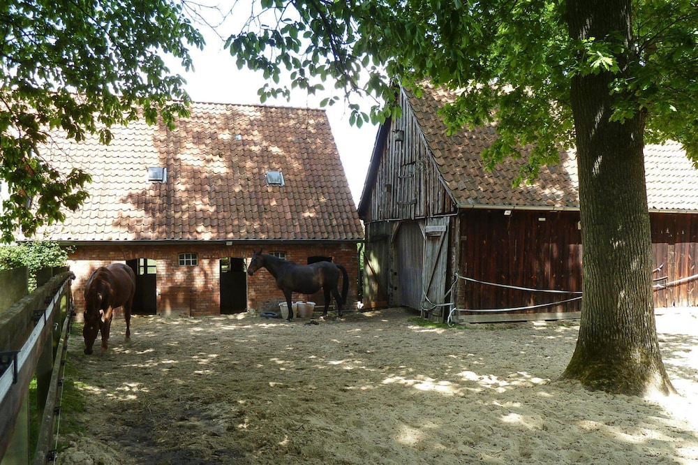 Apartment in Dorfmark Near Luneburg Heath