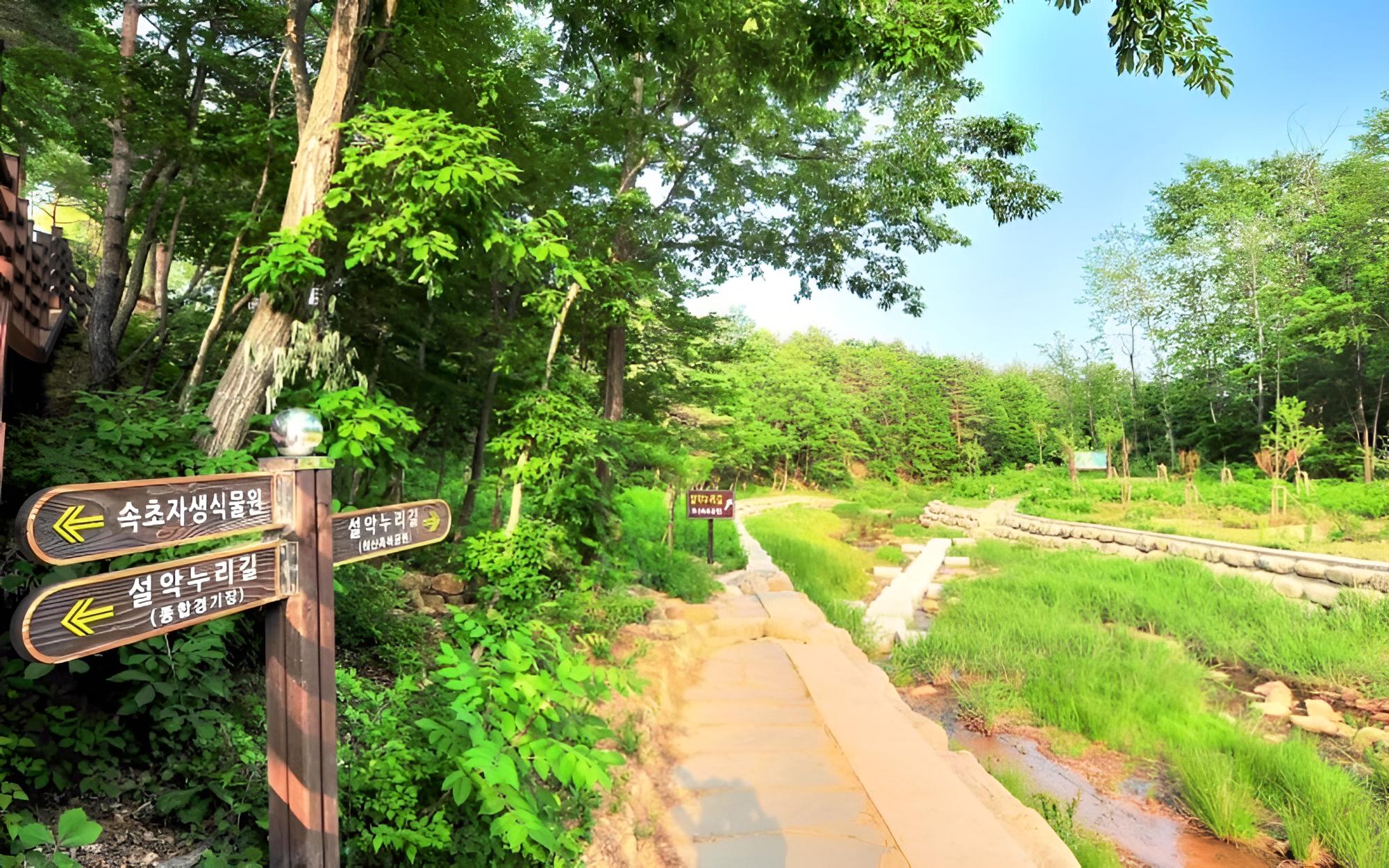 Sokcho Olive Spa Pension view 3