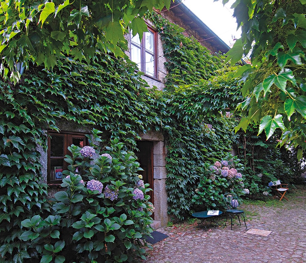 Quinta da Picaria