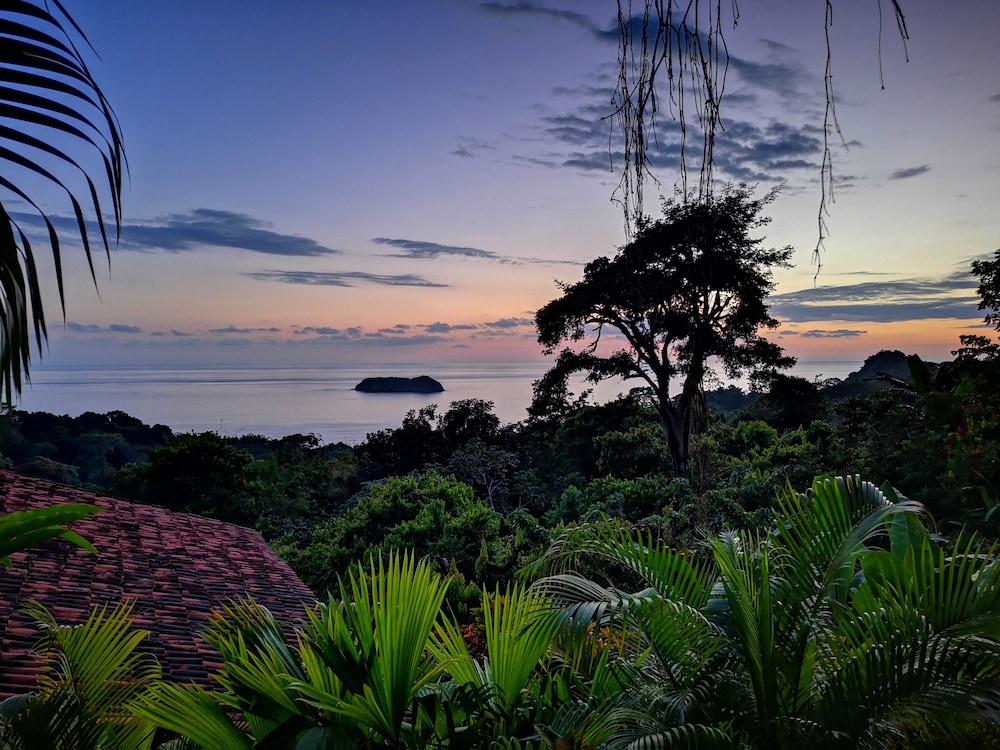 Photo 160