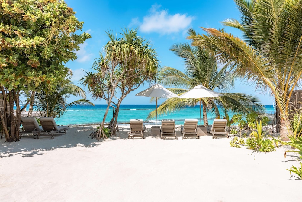 JA Manafaru, The Real Maldives - Complimentary Seaplane for 7 nights and more - Stay Period 01 May 2026 to 23 Dec 2026