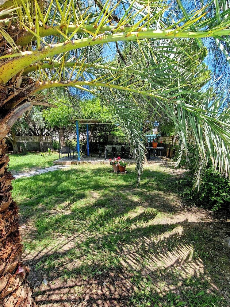 House With Exclusive Pool and Garden 7 min Walk From the Beach and the Center