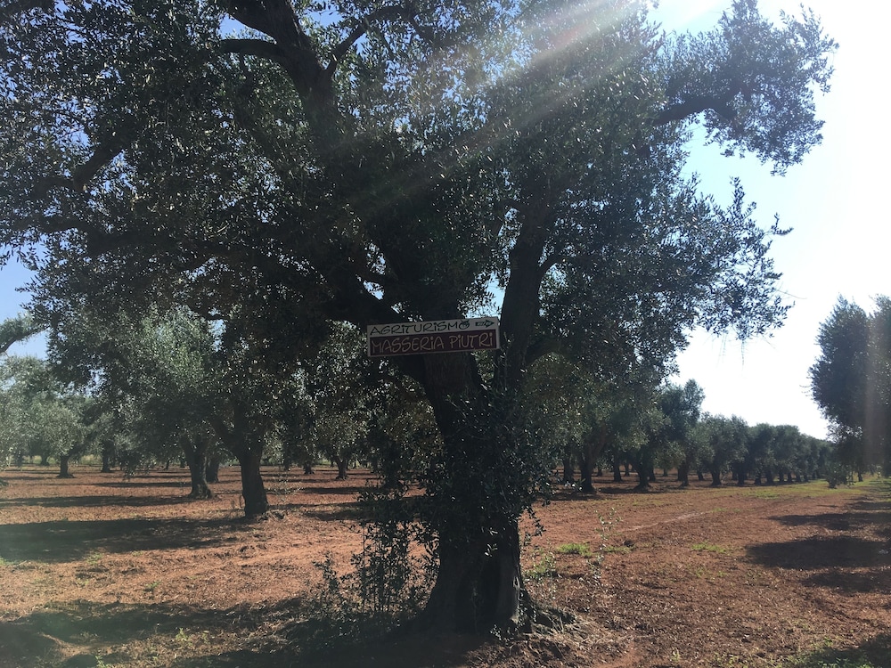 Agriturismo Masseria Piutri