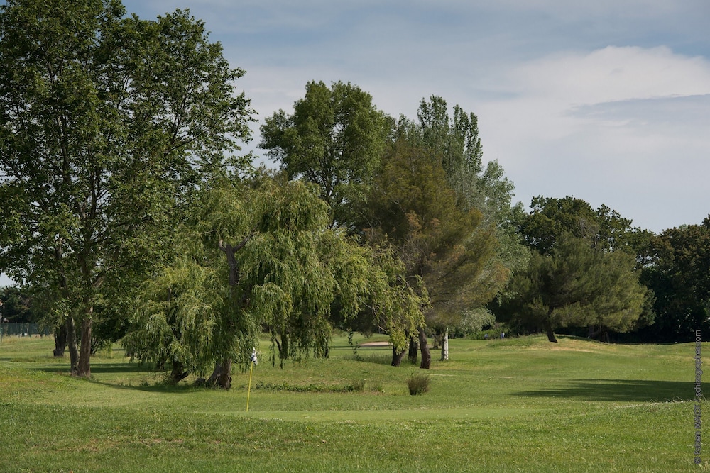 Adonis Arles by Olydea