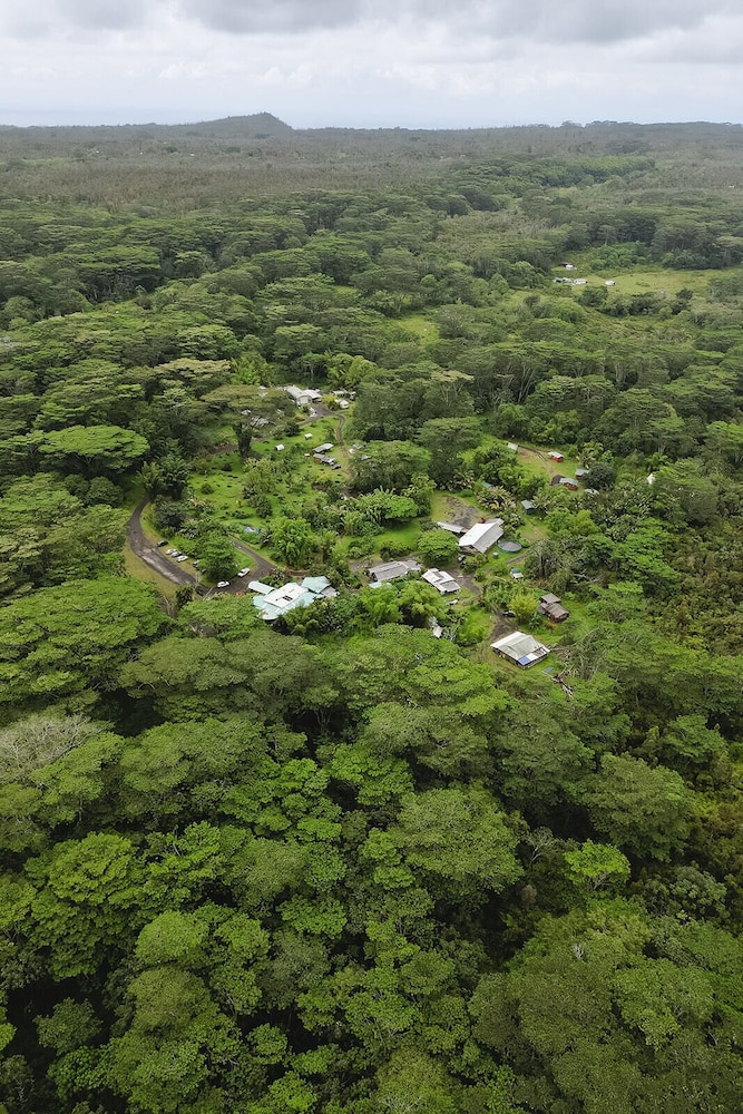 Hawaiian Sanctuary