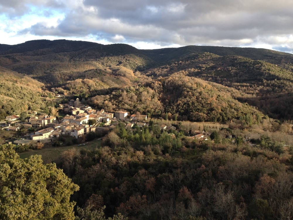 Photo 41