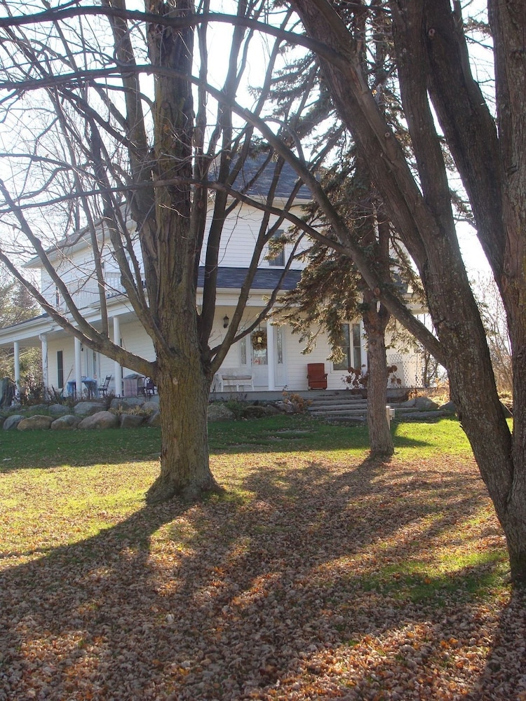 Terrace Green Bed & Breakfast