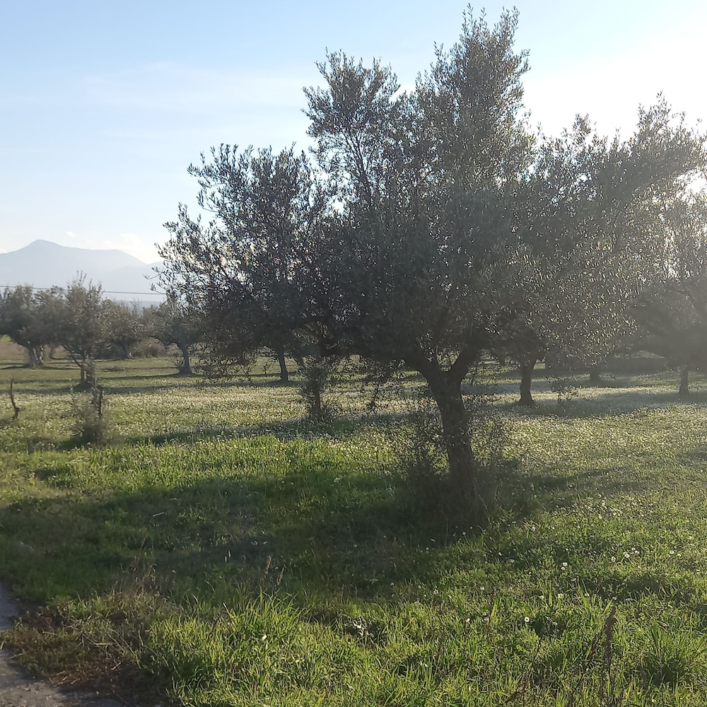 Beautiful 1-bed Cottage in Megalopolis view 2