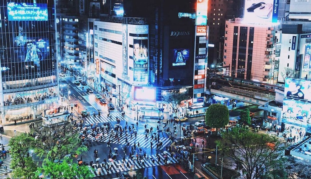 Tokyo Urban Flat Hotel 101