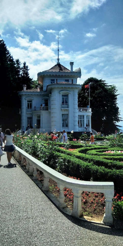 Zaga Konagi, photo 10