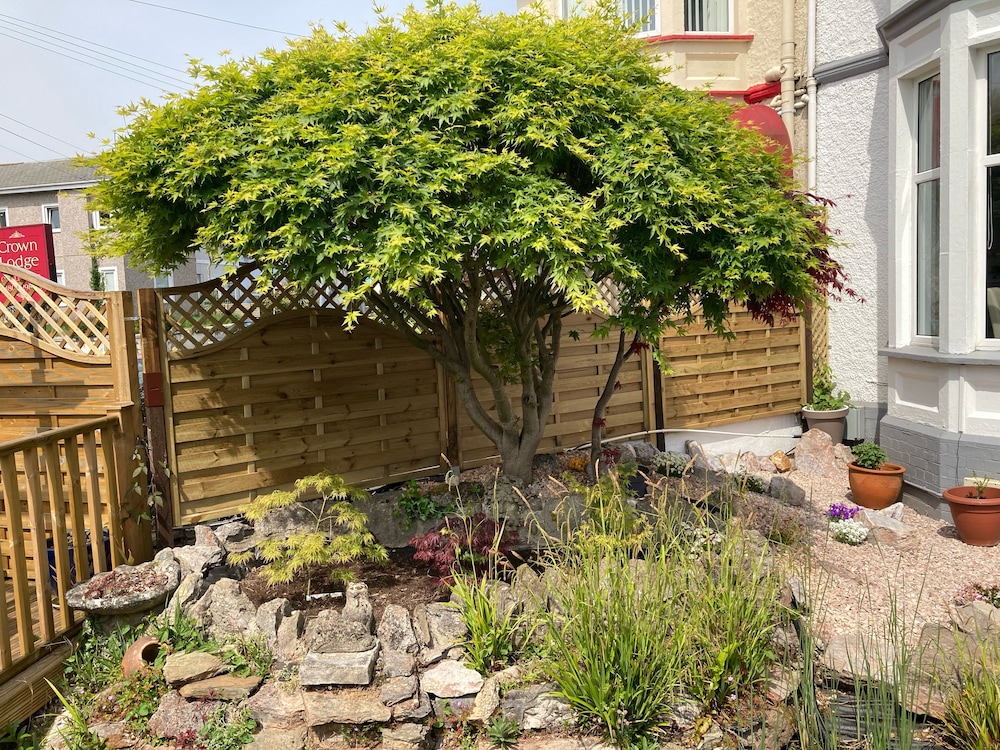 Photo 18