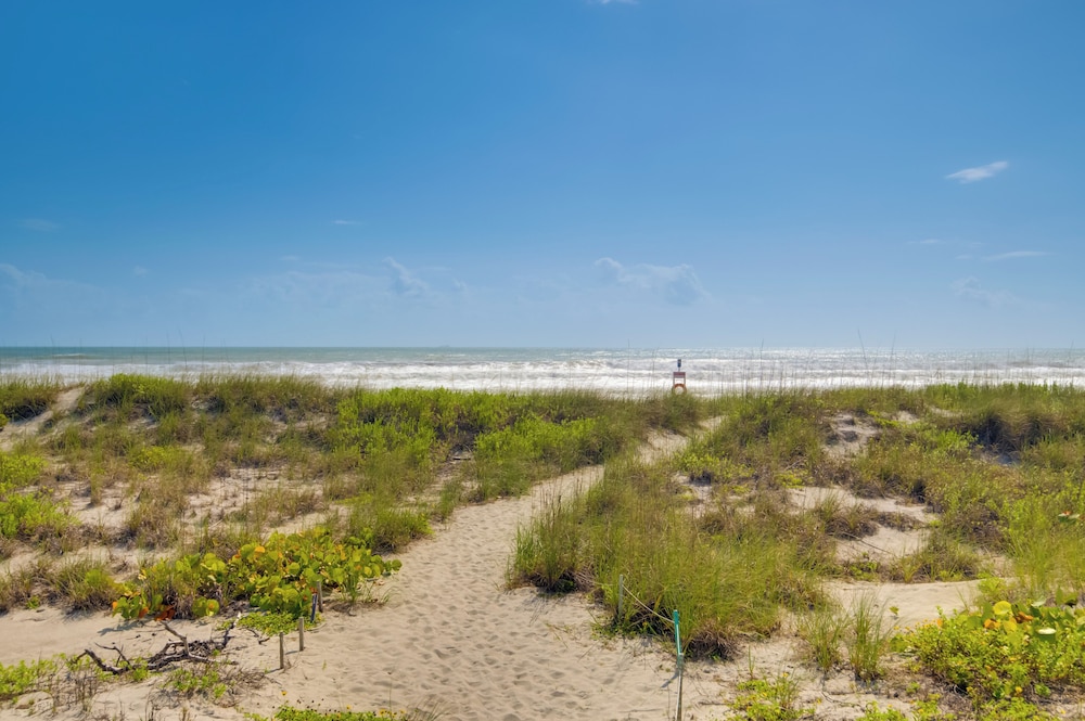Walk to Beach: Dog-friendly Gem in Cocoa Beach!