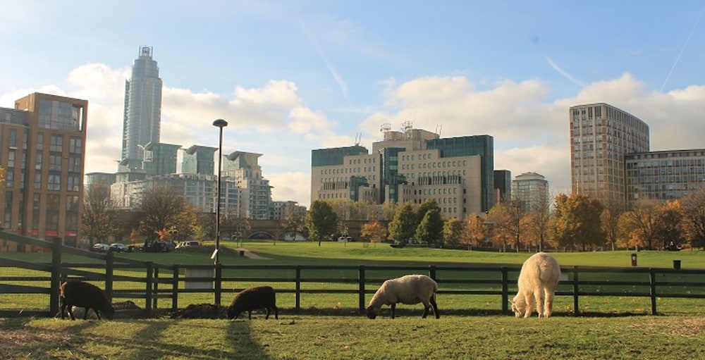 Central London Stay in Vauxhall With Balcony